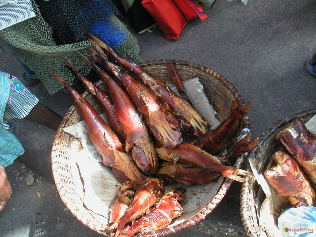 Poisson Fumé - alimentation grossesse