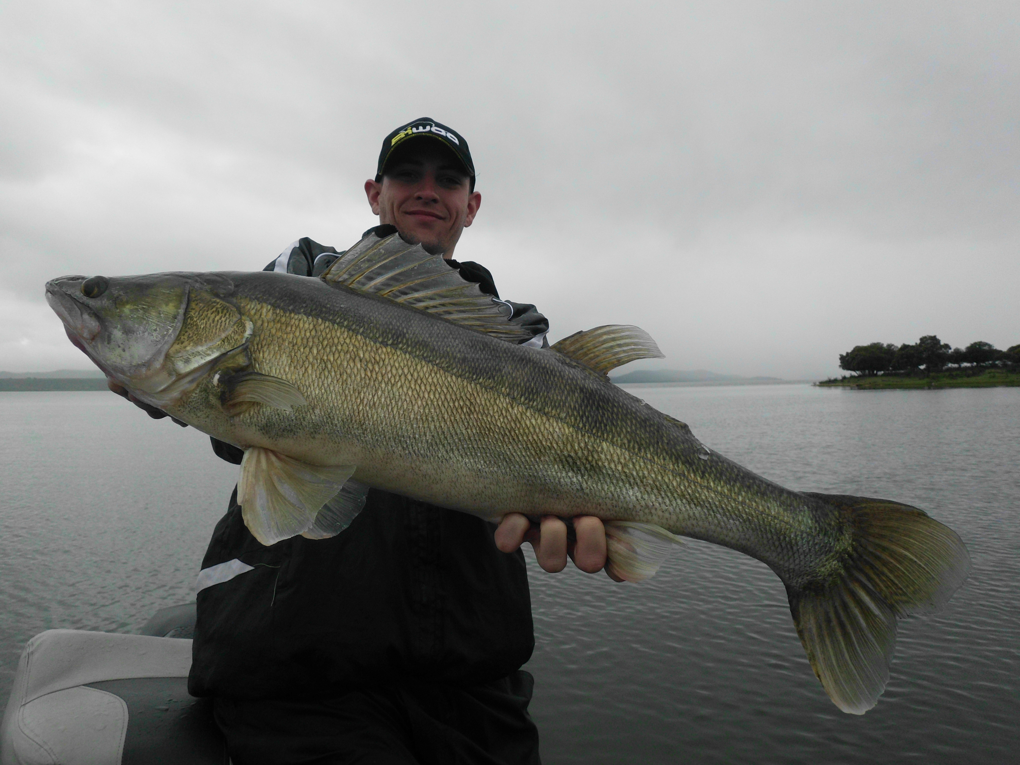 Sandre - alimentation grossesse