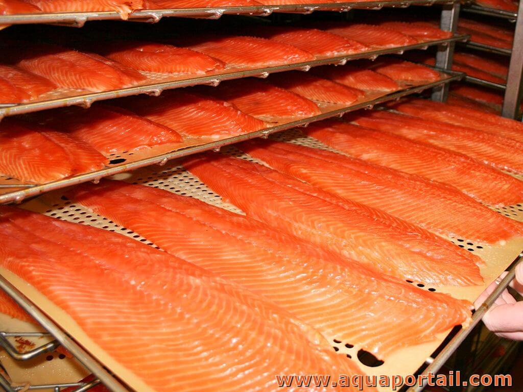 Saumon Fumé - alimentation grossesse