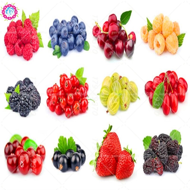 Frutas rojas  - Nutrición en el embarazo