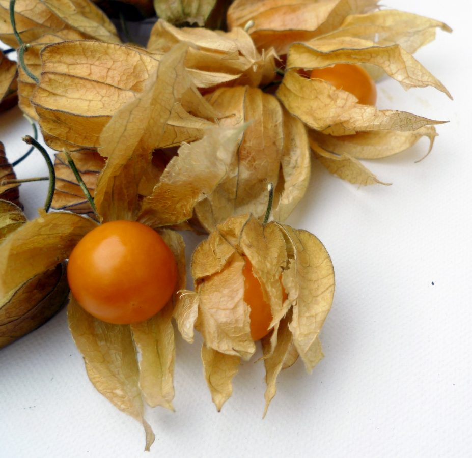 Fruta exótica  - Nutrición en el embarazo