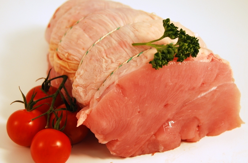 Turkey net - Pregnancy Nutrition