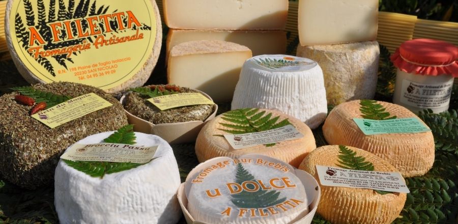 Filletta corsicana  - Nutrição na gravidez