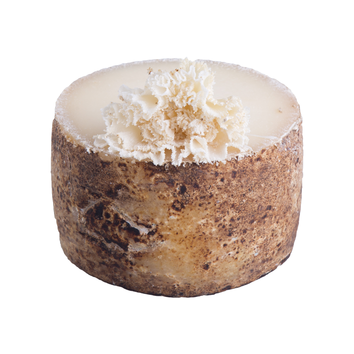 Tomme queima  - Nutrição na gravidez