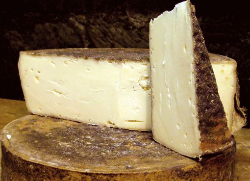Friborg Vacherin  - Nutrição na gravidez