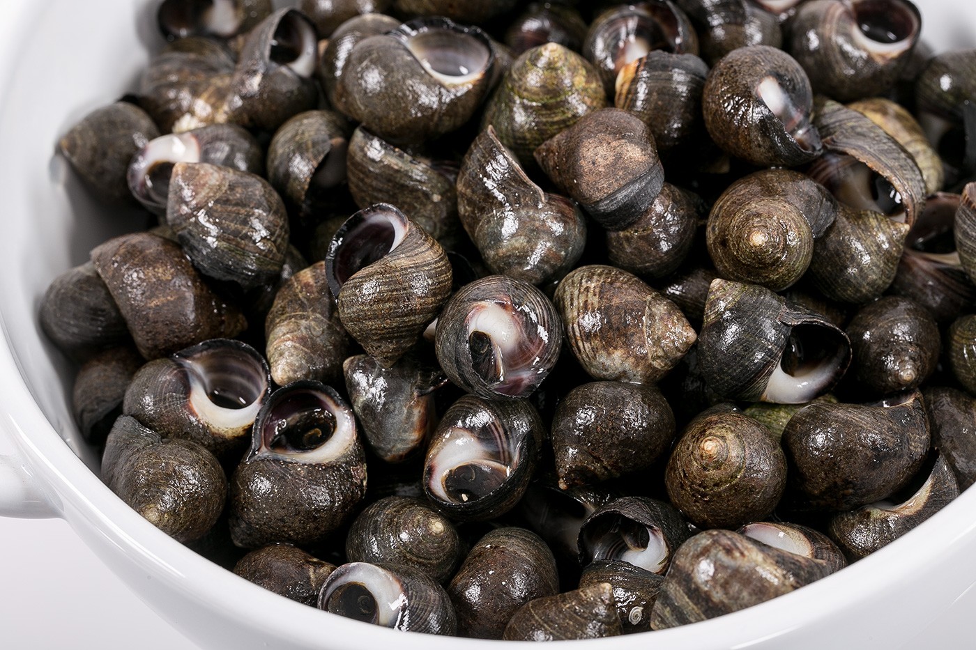 Periwinkle  - Pregnancy Nutrition
