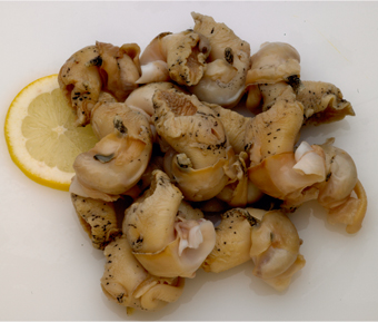 Bulot or Buccin  - Pregnancy Nutrition