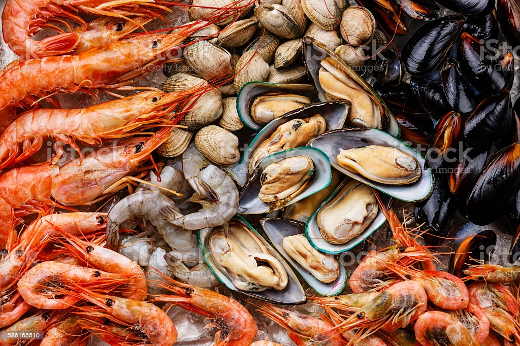 Raw shell - Pregnancy Nutrition