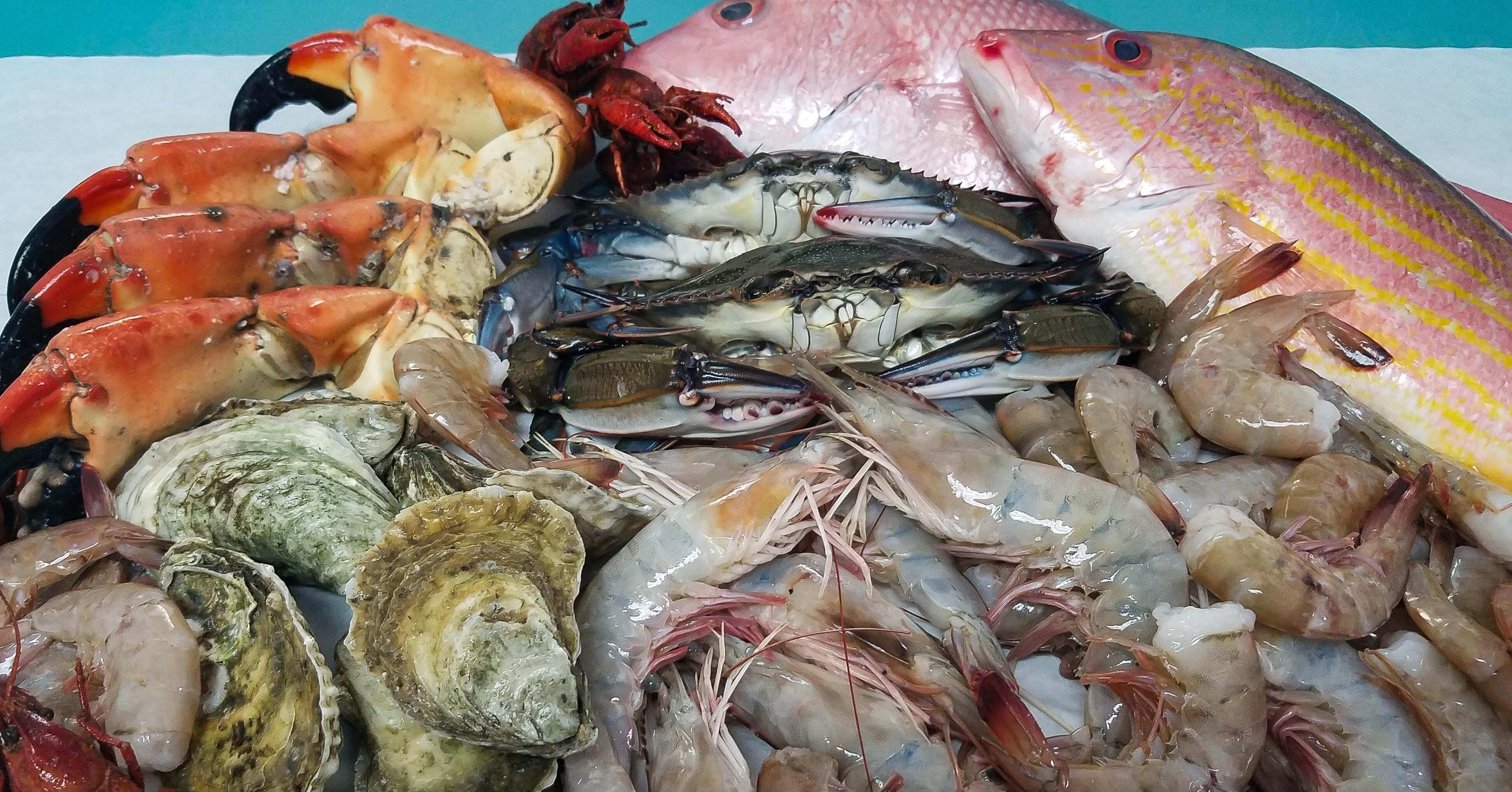 Criminal shrimp  - Pregnancy Nutrition