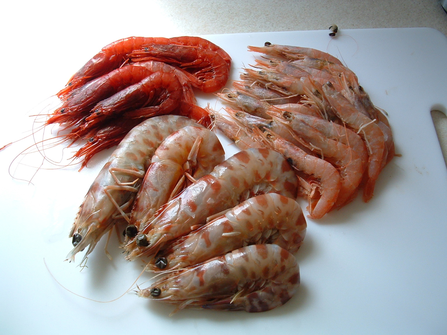 Pink prawns - Pregnancy Nutrition