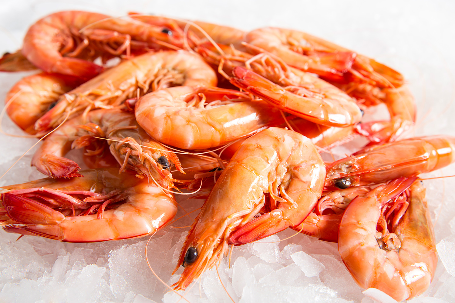 Cooked pink shrimp  - Pregnancy Nutrition