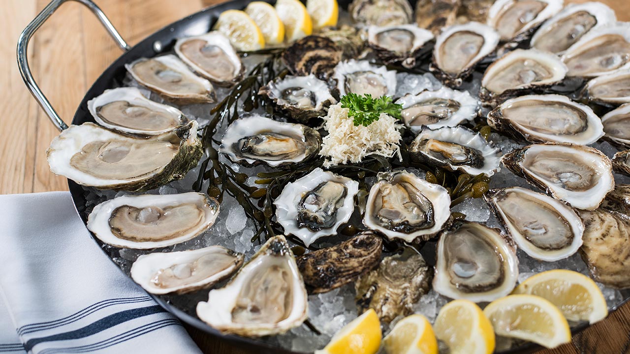Oysters  - Pregnancy Nutrition