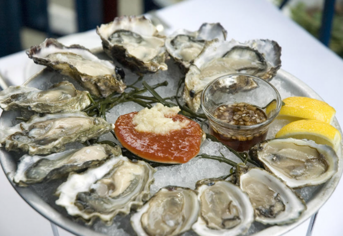 Hot oyster - Pregnancy Nutrition