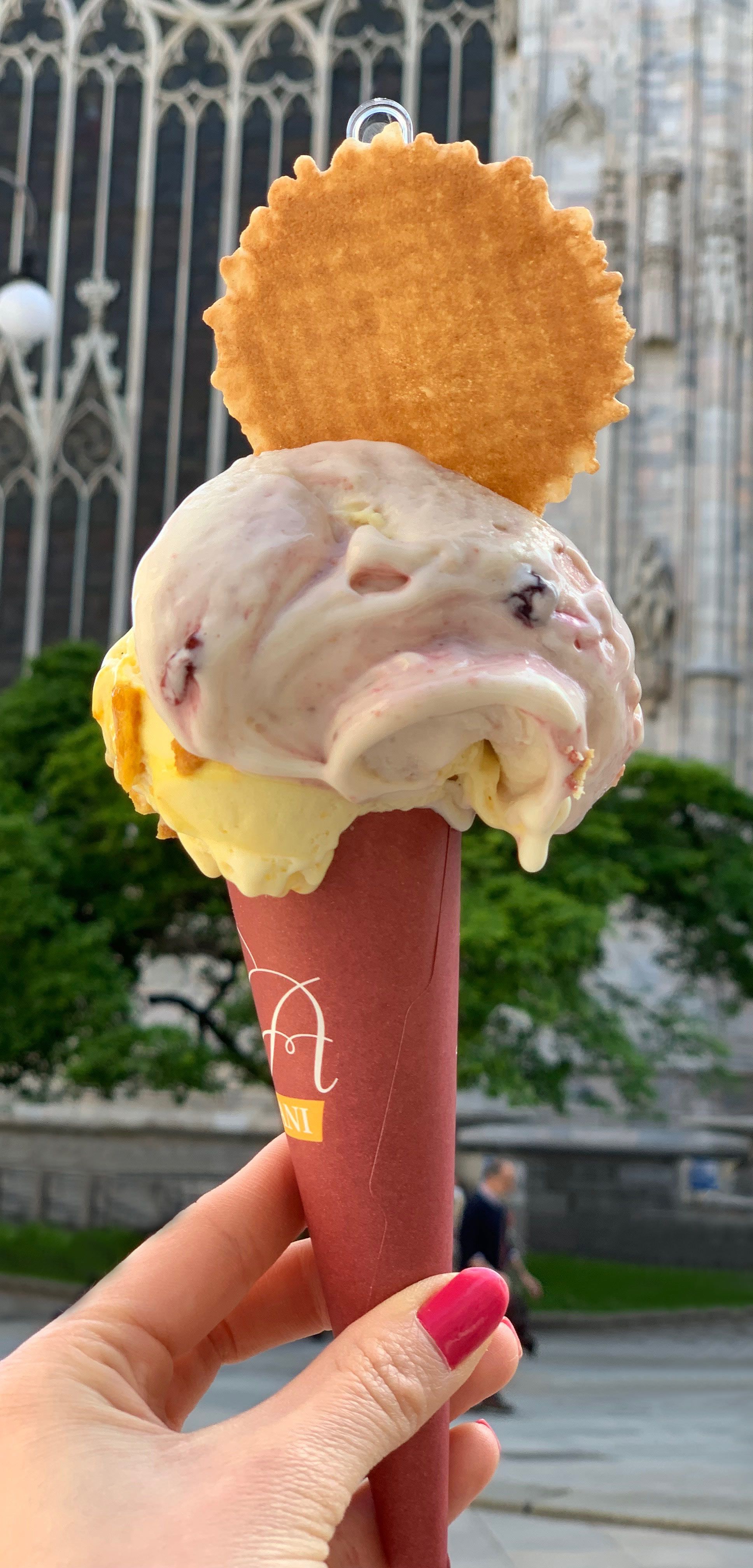Sorvete italiano  - Nutrição na gravidez