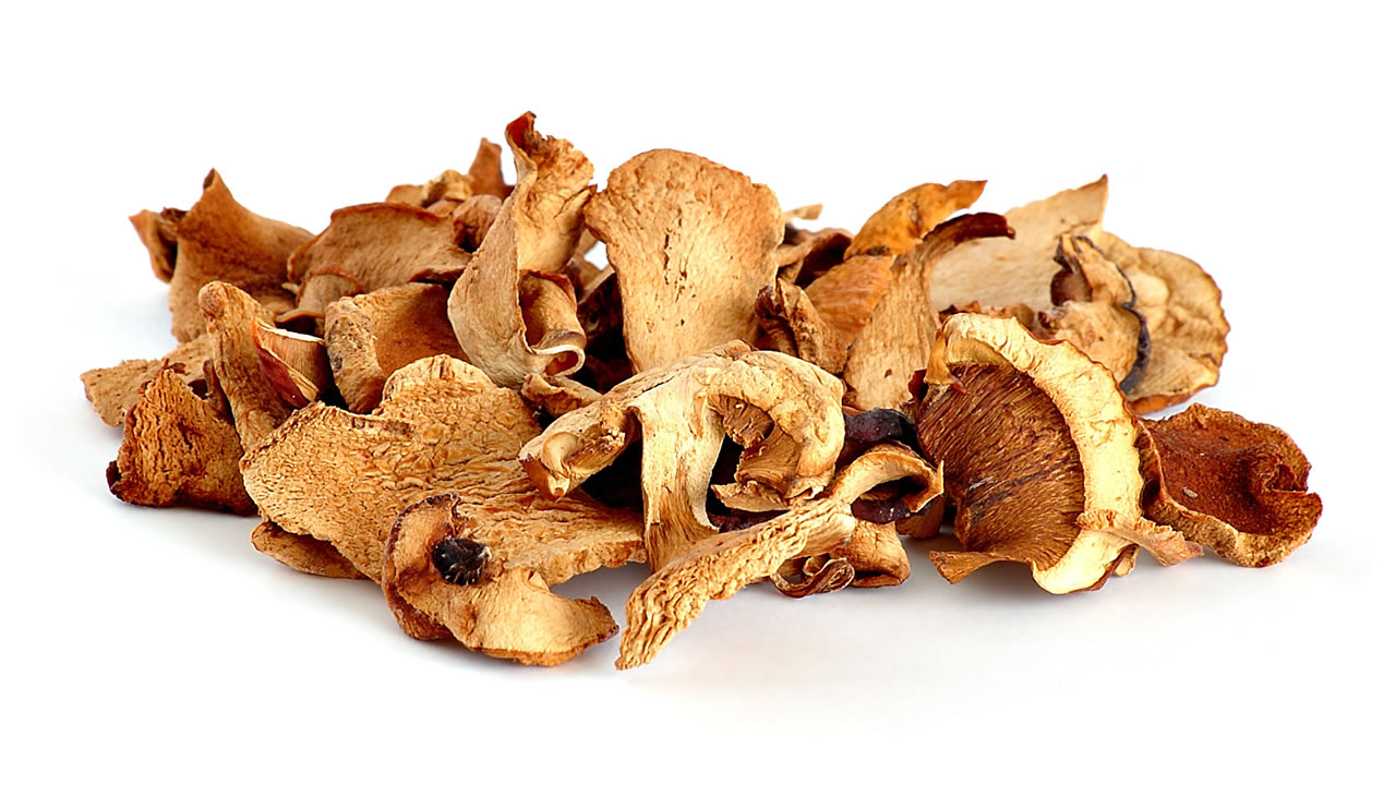 Funghi  - Alimentazione in gravidanza