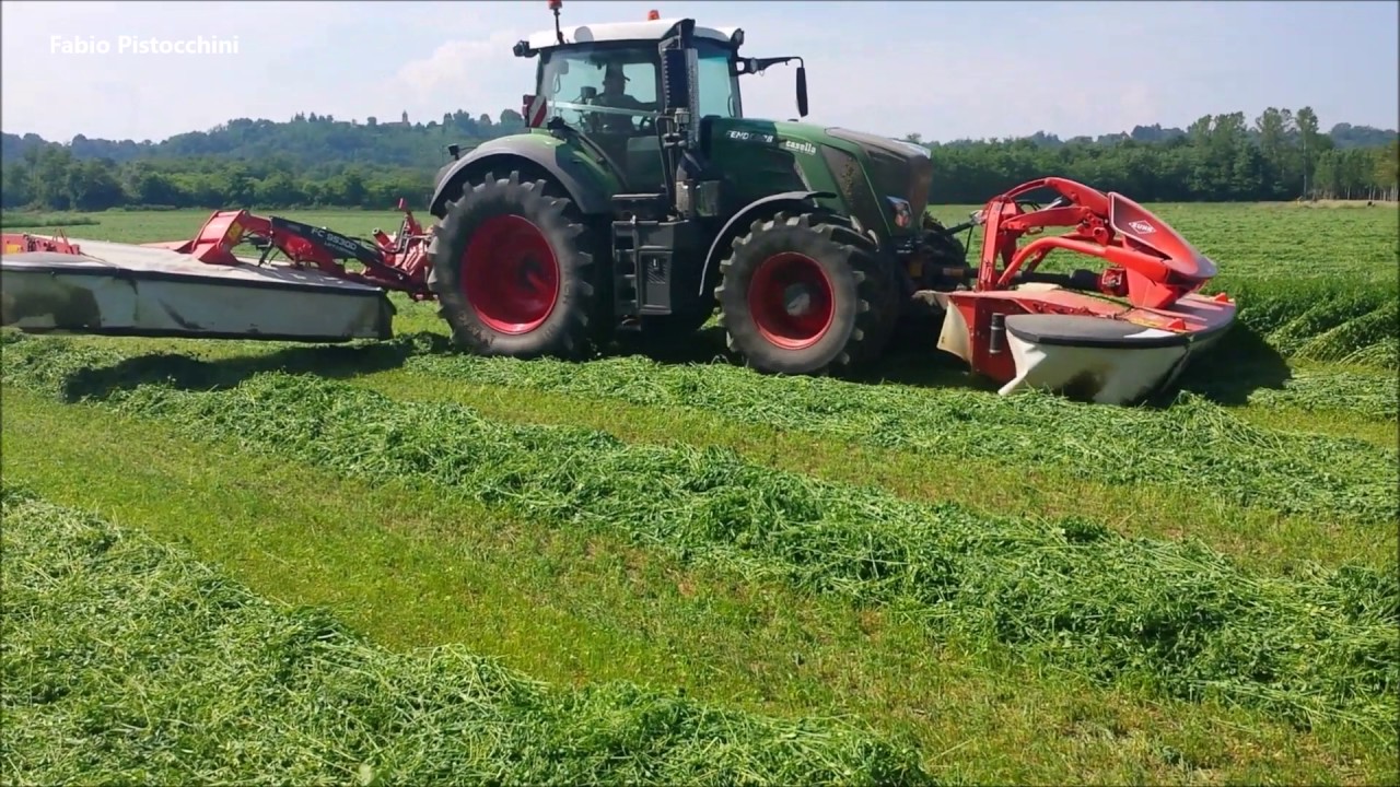 Erba medica - Alimentazione in gravidanza