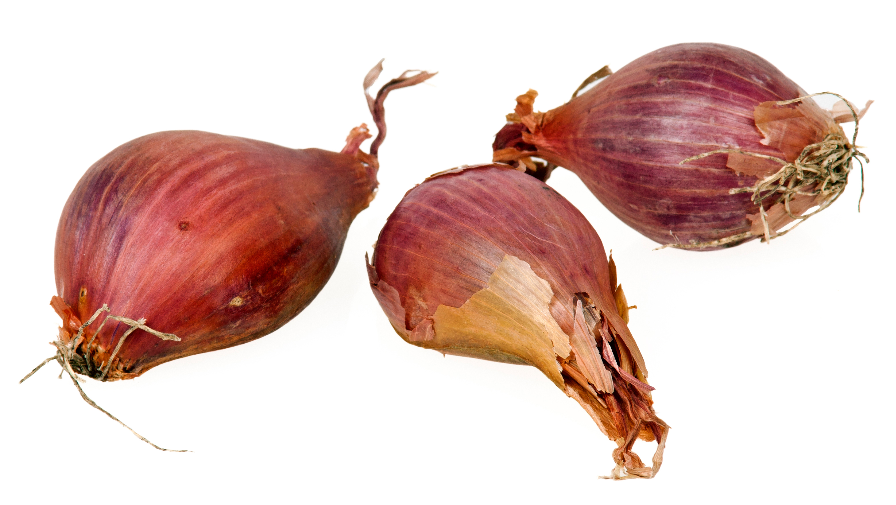 Shallot  - Pregnancy Nutrition
