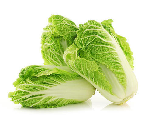 Chinese cabbage  - Pregnancy Nutrition