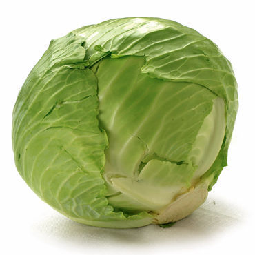 Green cabbage  - Pregnancy Nutrition