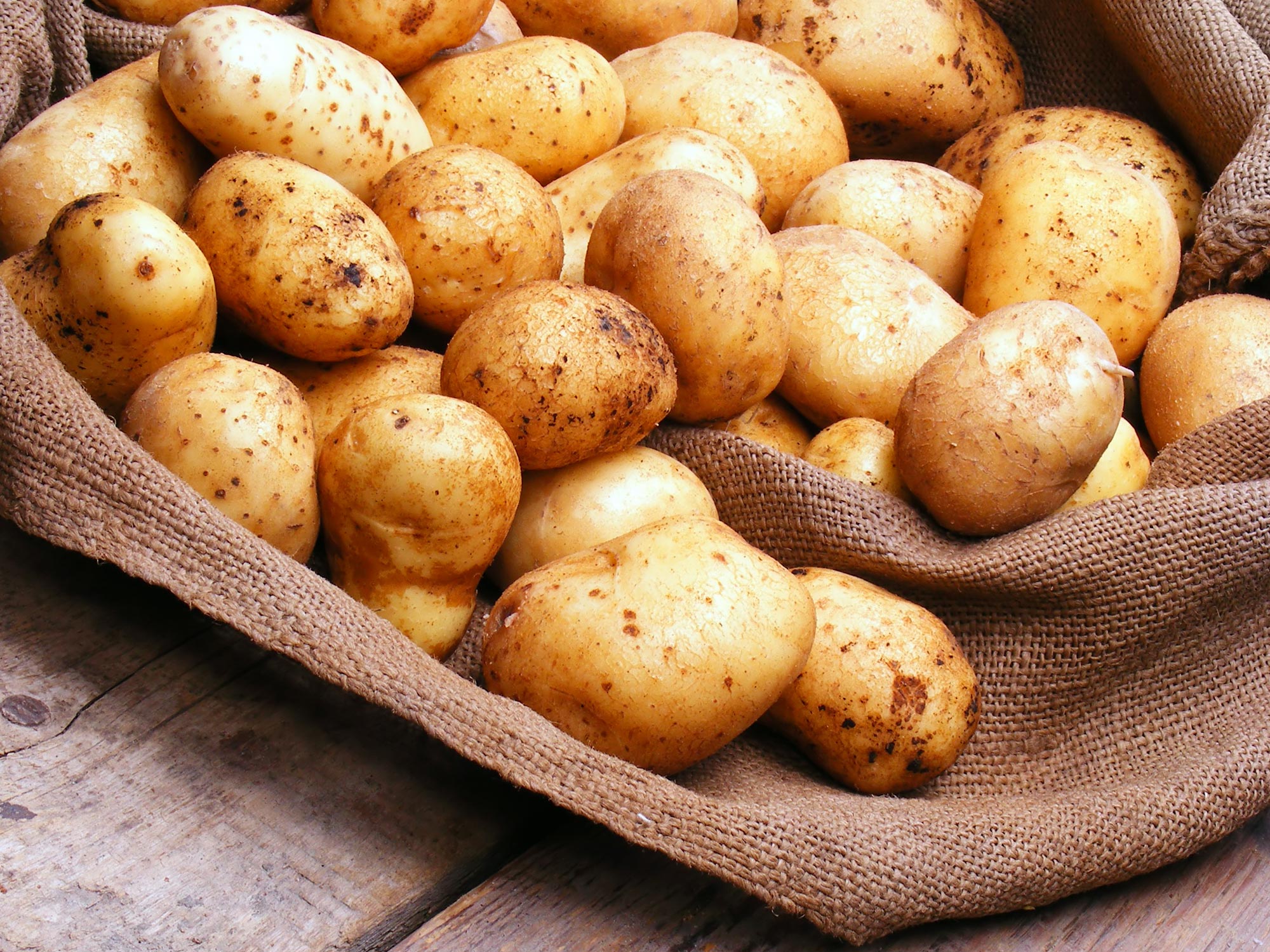 Potato - Pregnancy Nutrition