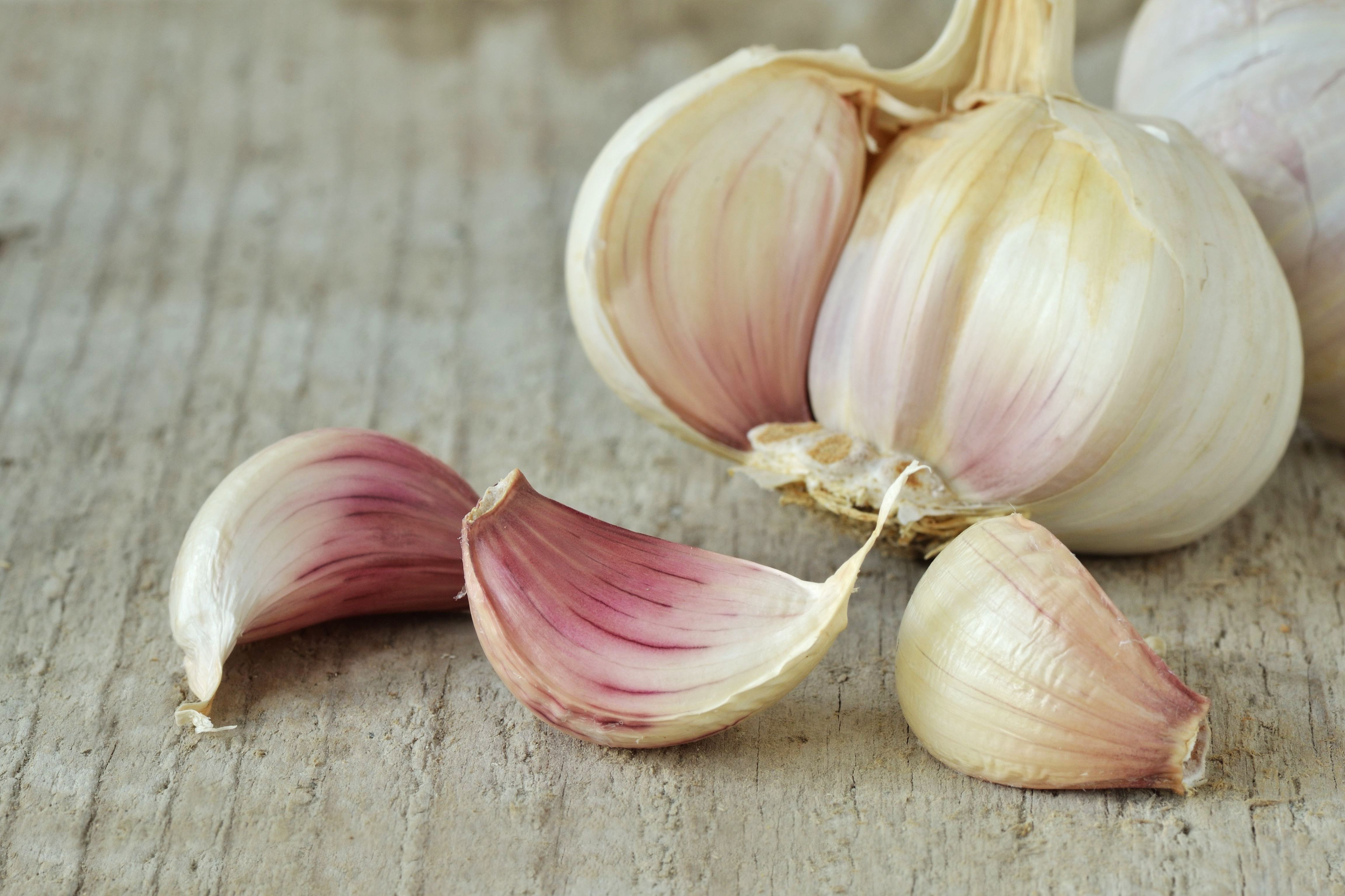 Clove  - Pregnancy Nutrition