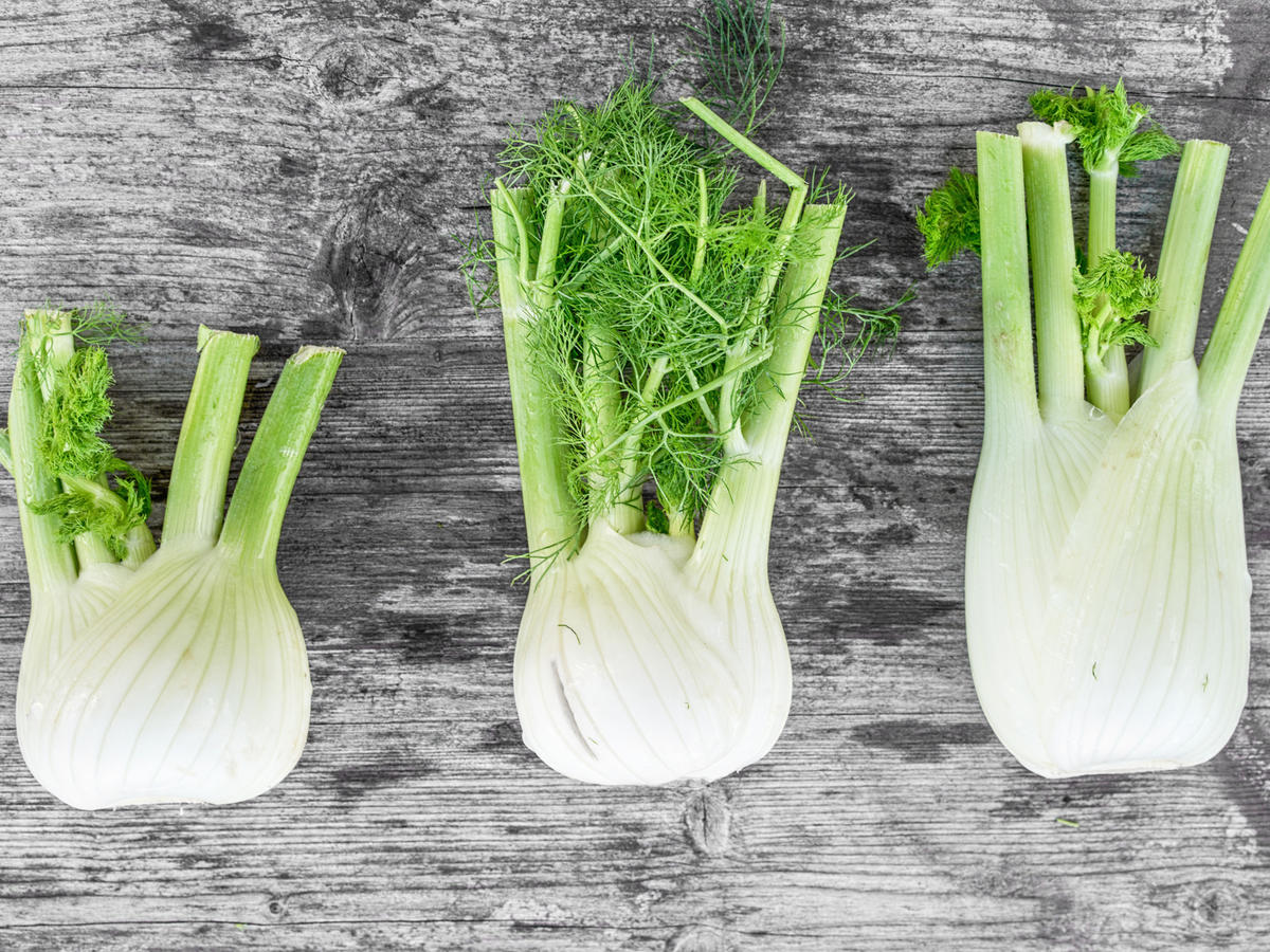 Fennel - Pregnancy Nutrition