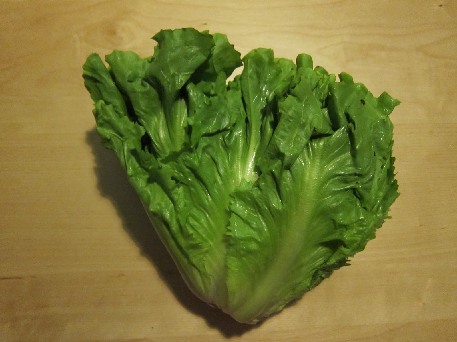 Endives  - Pregnancy Nutrition