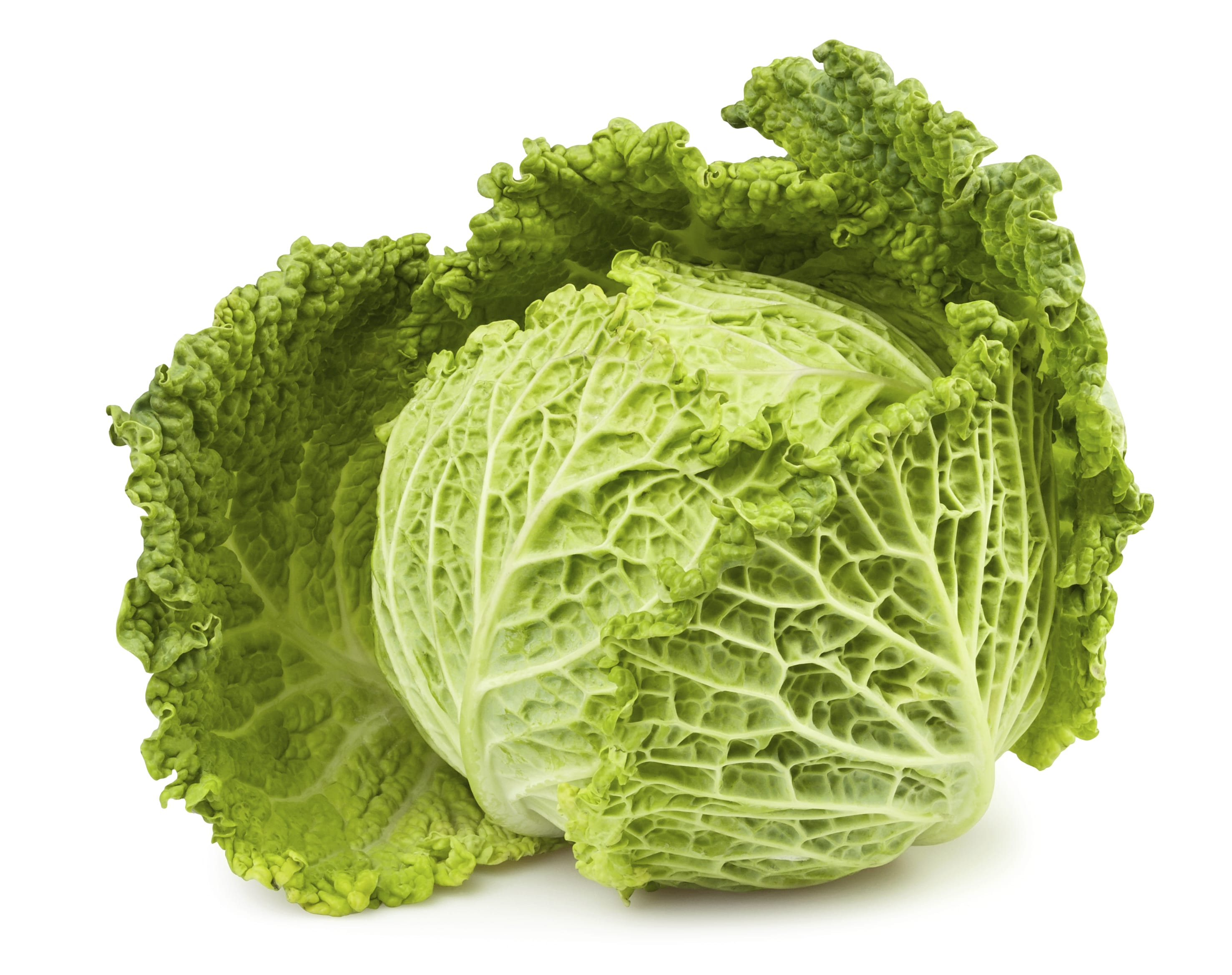 Cavolo  - Alimentazione in gravidanza