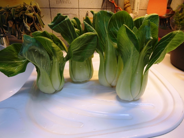 Cavolo cinese o pak-choi o pe-tsai  - Alimentazione in gravidanza