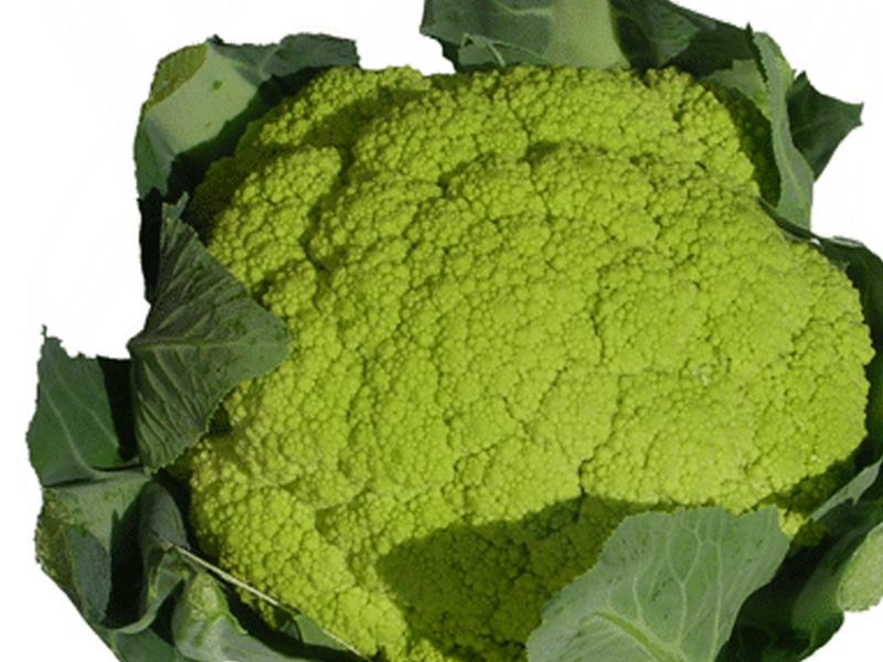 Cavolo verde - Alimentazione in gravidanza