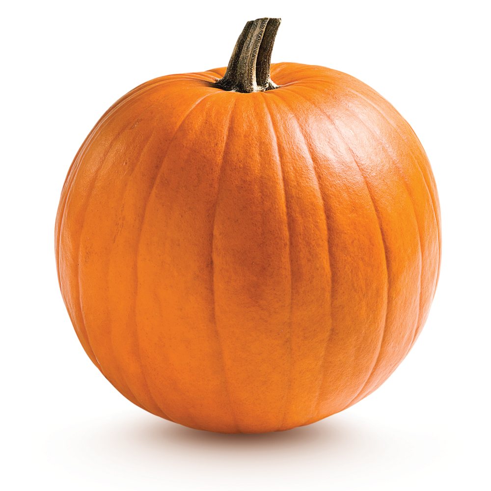 Zucca - Alimentazione in gravidanza