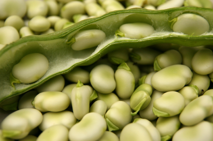 Fagiolo  - Alimentazione in gravidanza