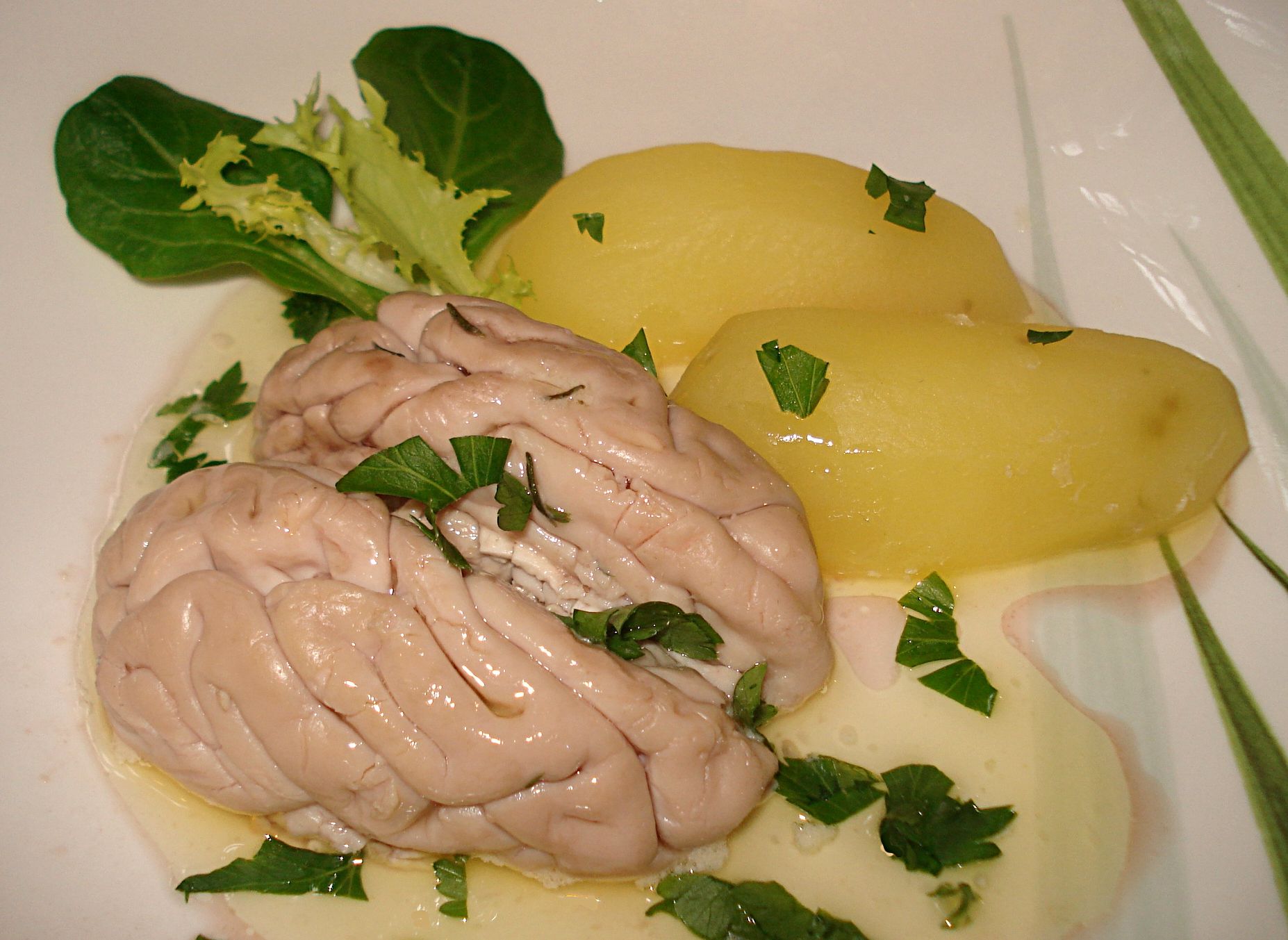 Cervelle  - alimentation grossesse